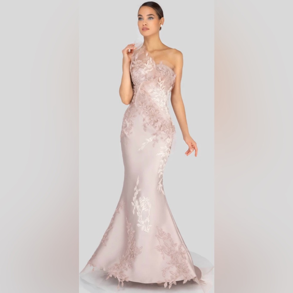 Woman’s Terani Couture Brand New Gown